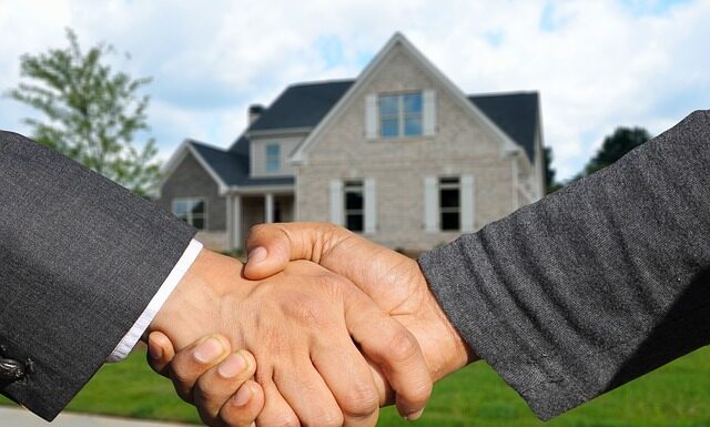 Gdzie kupić przyrząd do wyciągania kleszczy?