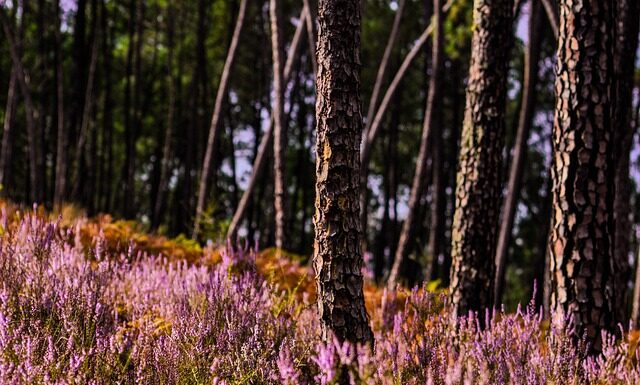Jak długo trwa przerost prostaty?
