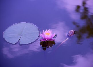 Czego nie lubią chore stawy? Czego nie lubią chore stawy?