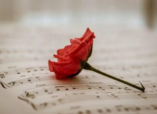 Komu przysługuje bezpłatny aparat słuchowy? Komu przysługuje bezpłatny aparat słuchowy?