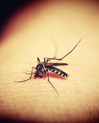 Jakie przyssawki do glazury?