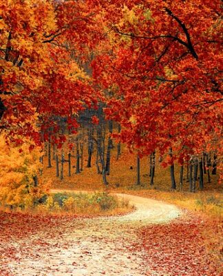 Co naturalnie działa przeciwzapalnie?