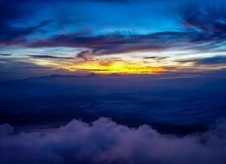 W jakim miejscu na szybie dać uchwyt na telefon?